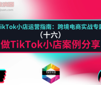 做TikTok小店案例分享