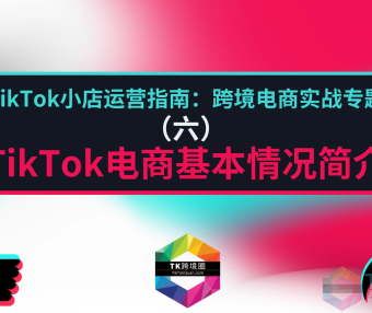 TikTok电商基本情况简介